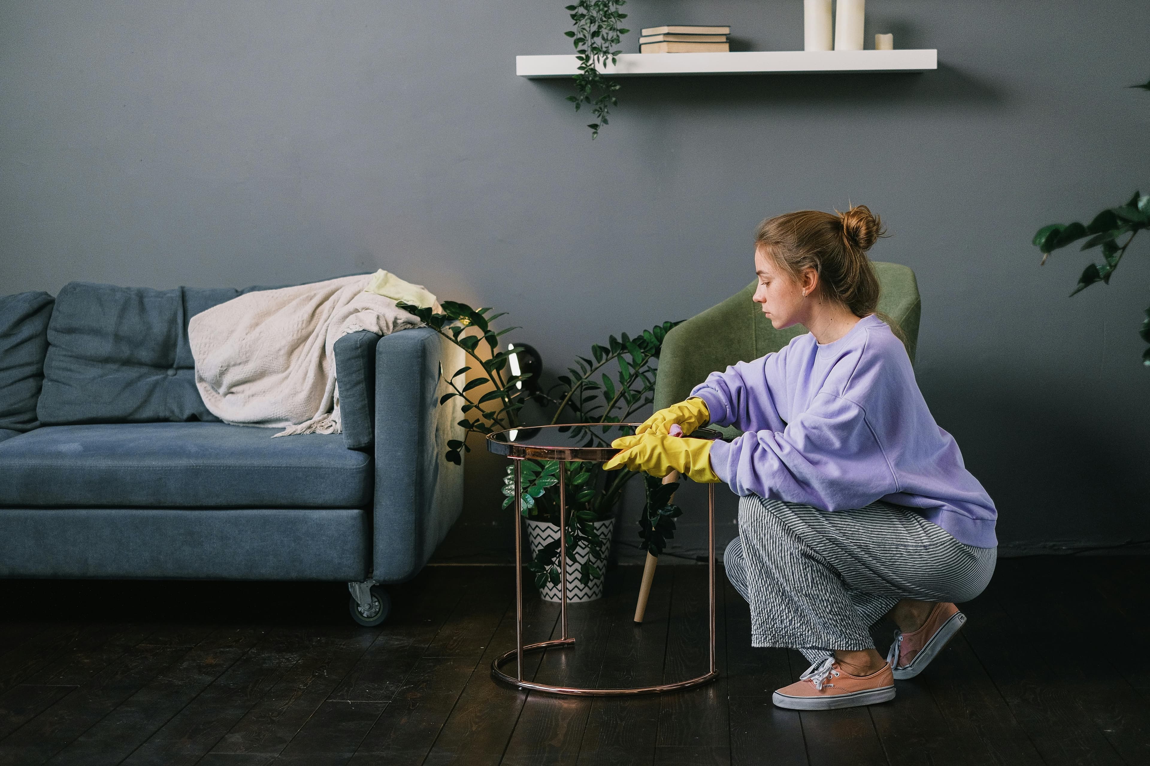 Professional regular cleaning service